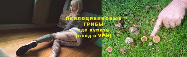 герыч Абаза