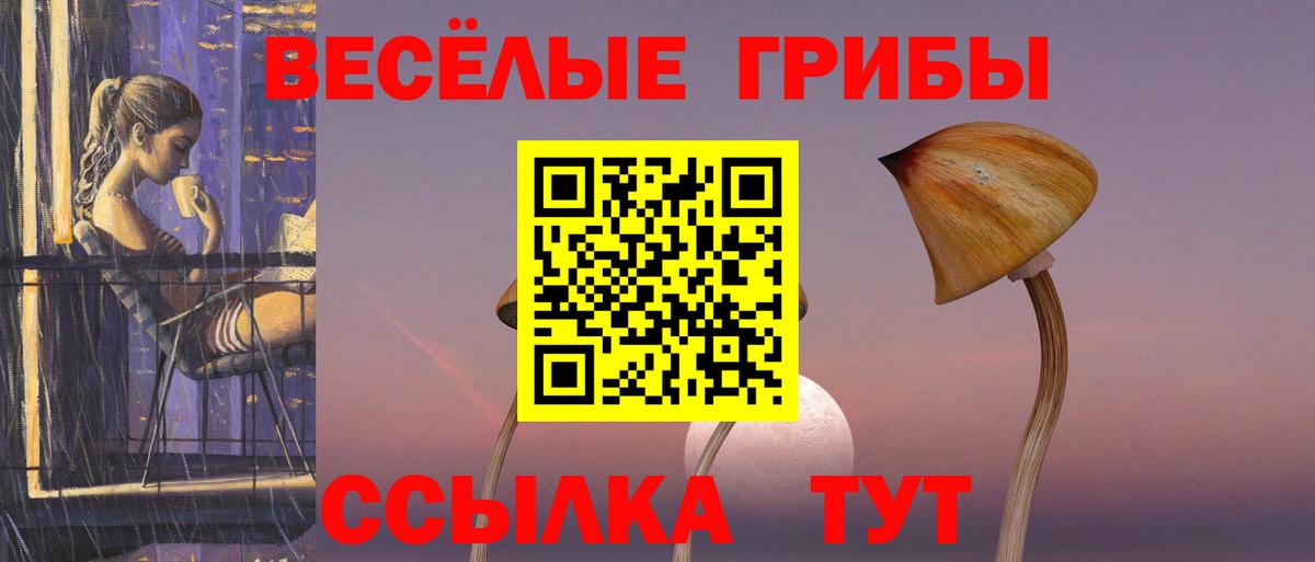 Галлюциногенные грибы ЛСД Кашира